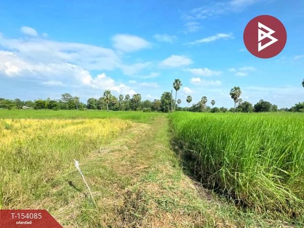 Land for sale, area 2 rai, Yang Talat, Kalasin.