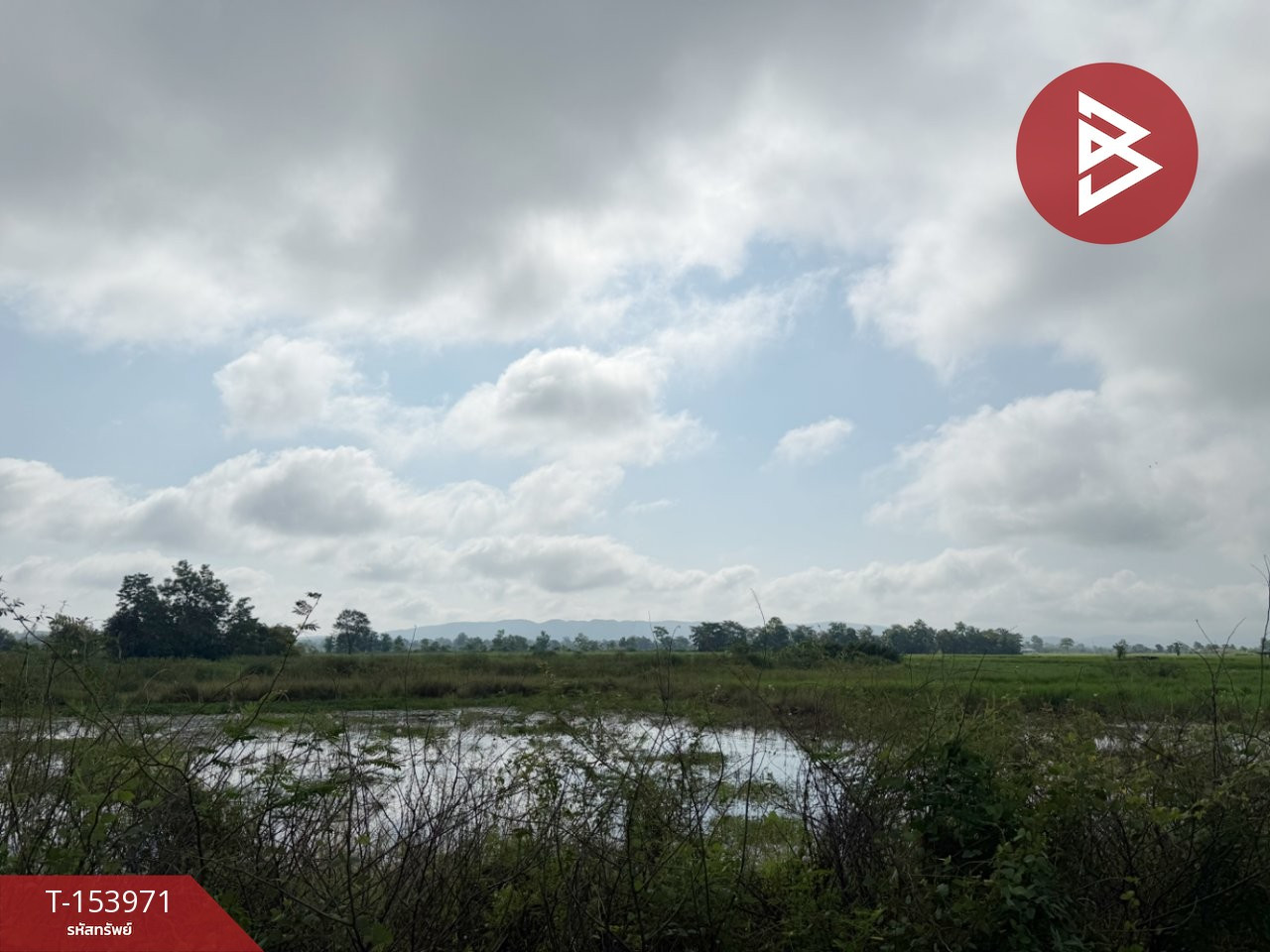 ขายที่ดิน เนื้อที่ 8 ไร่ 17 ตร.วา เชียงคำ พะเยา – รูปที่ 4