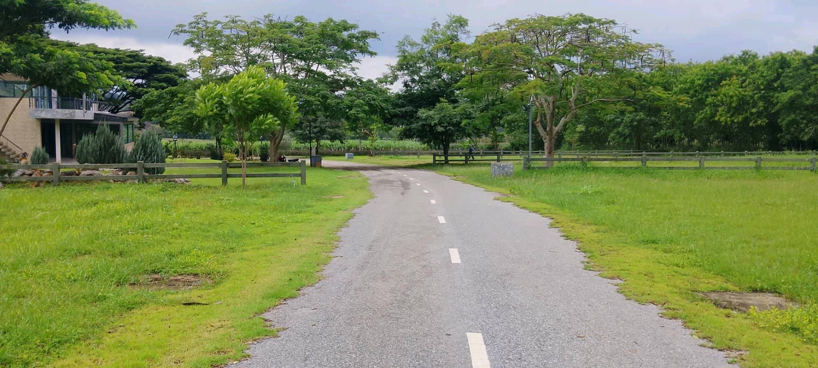 ขายที่ดิน เขาใหญ่ ใกล้โปร่งตาลอง – รูปที่ 2