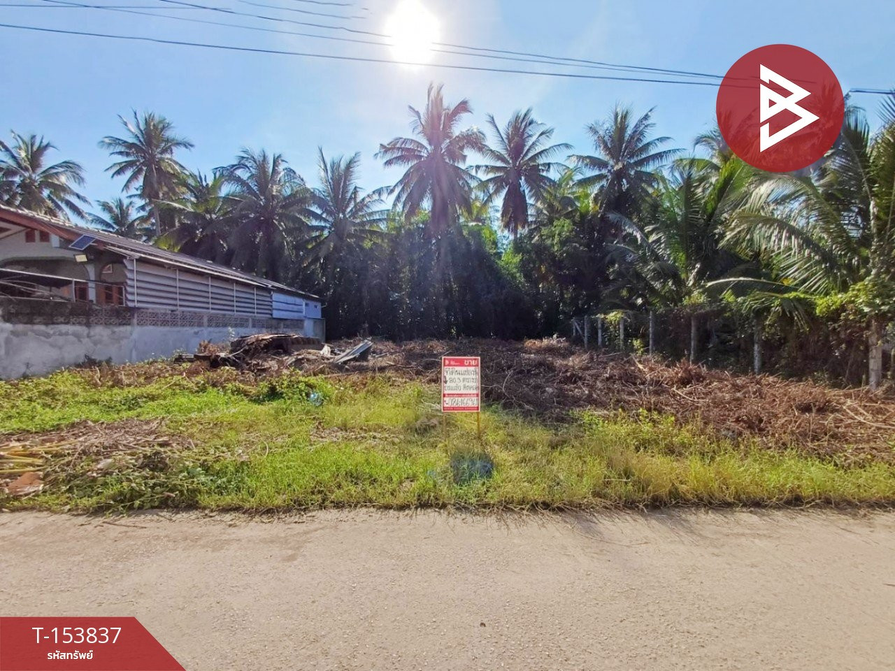 Empty land for sale urgently, area 80.3 sq m, Mae Klong, Samut Songkhram