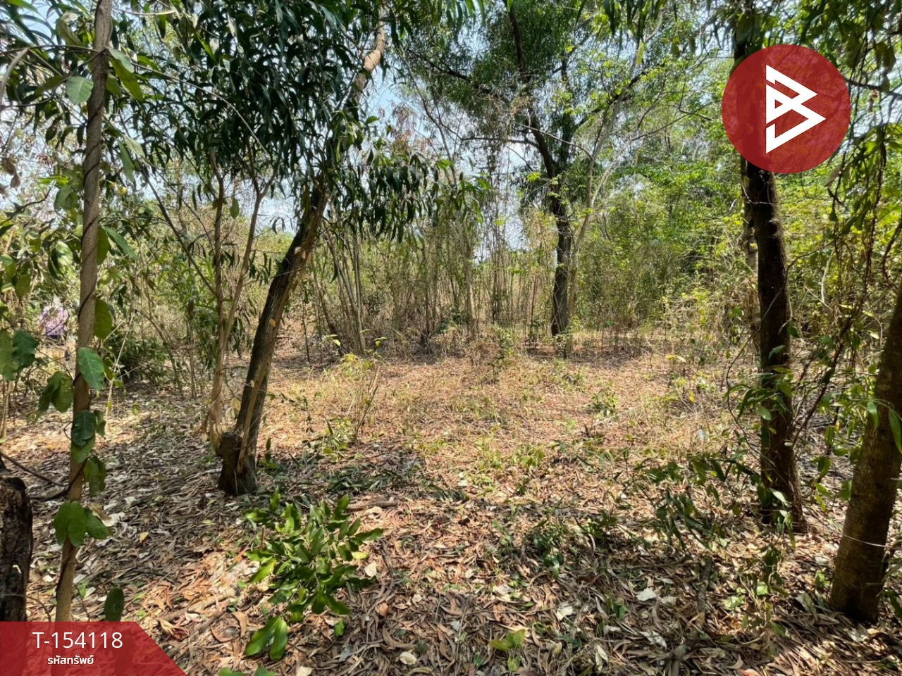Land for sale, area 1 ngan 58 sq m, Thanyaburi, Pathum Thani. – รูปที่ 2