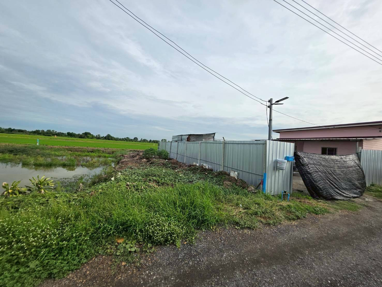 urgent! Beautiful land 100 sq m, Bueng Bon 24/1 Khlong 8, complete utility system. – รูปที่ 2