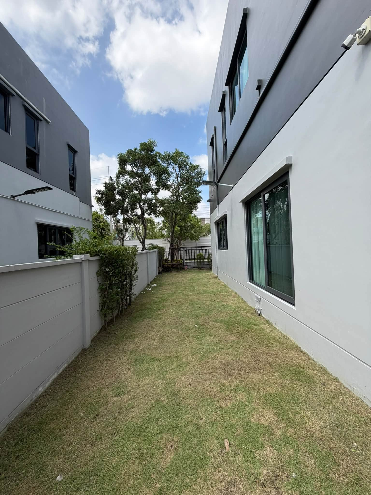 บ้านเดี่ยวให้เช่า Centro Bangna เฟส 1 Modern Minimal Style  Fully Furnished  Ready to Move In บ้านตำแหน่งส่วนตัว ไม่มีบ้านตรงข้าม – รูปที่ 3