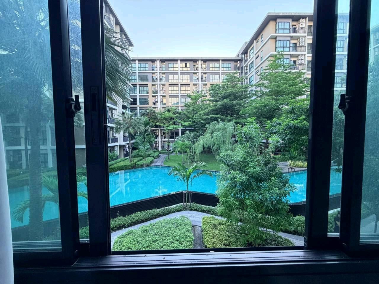 1 bedroom, corner room, 30 sq m. Best price for you. Swimming pool view 1 bedroom, corner room, 30 sq m. Best price for you. Swimming pool view