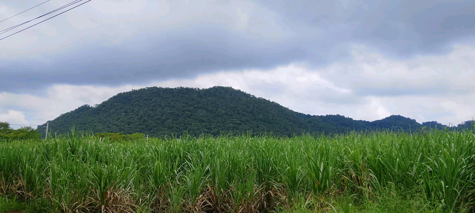 ขายที่ดิน โครงการ Barn House เขาใหญ่ โปร่งตาลอง – รูปที่ 2