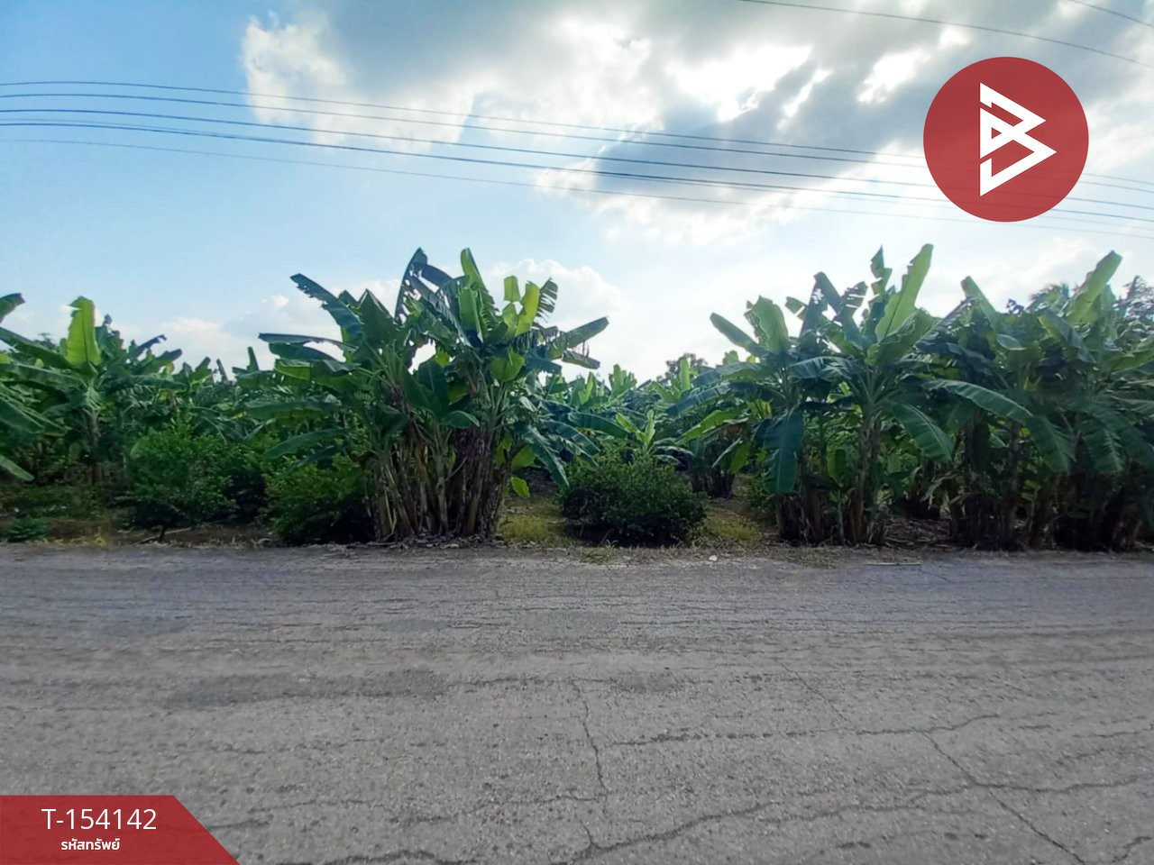 Land for sale, area 7 rai 2 ngan 58 sq m, Dan Makham Tia, Kanchanaburi