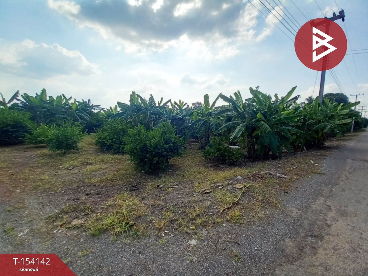 Land for sale, area 7 rai 2 ngan 58 sq m, Dan Makham Tia, Kanchanaburi – รูปที่ 4