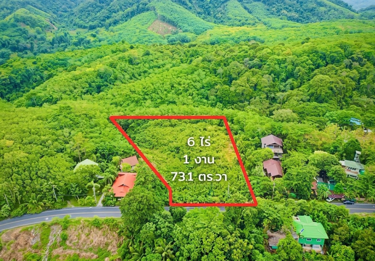 Urgent sale! Seaview land, Cape Panwa, Phuket, over 6 rai, next to a concrete road. Prime location to build a villa/resort – รูปที่ 2
