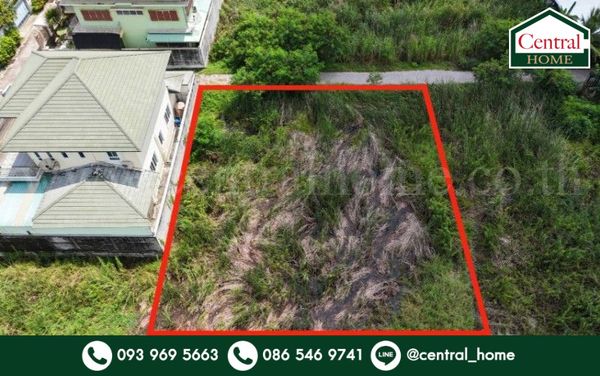 Land Petchkasem 87, prime location near Petchkasem Road, cheap price.