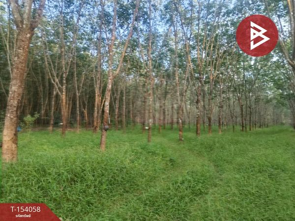 Land for sale, area 15 rai 2 ngan 33 sq m, Seka, Bueng Kan
