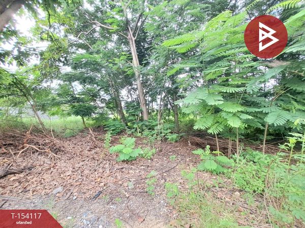 ขายที่ดิน เนื้อที่ 3 งาน 66 ตร.วา บางเสาธง สมุทรปราการ