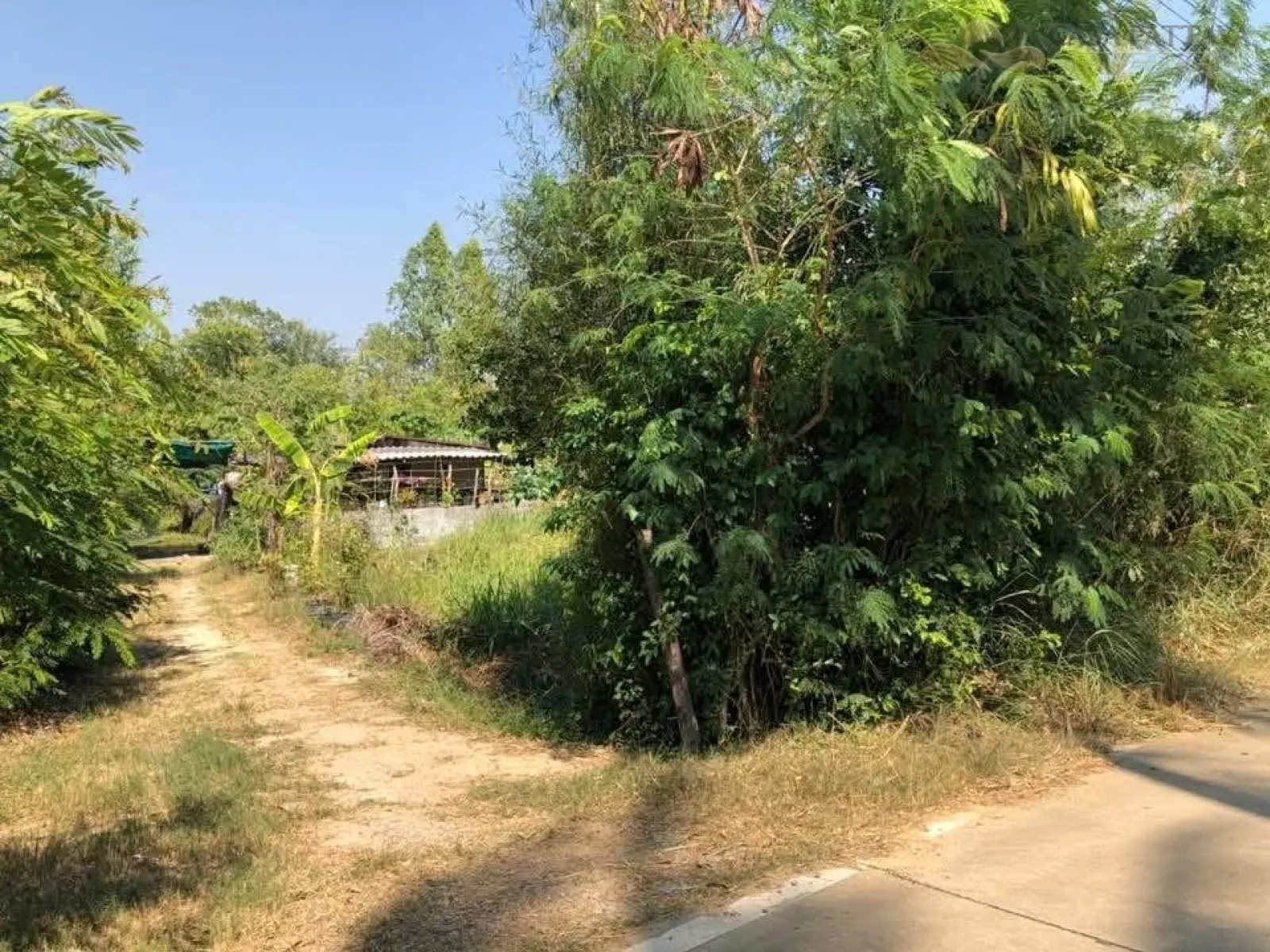 ขายที่ดินเปล่าแปลงสวย ติดถนนคอนกรีต บ้านมาบฟักทอง (ห้วยใหญ่)