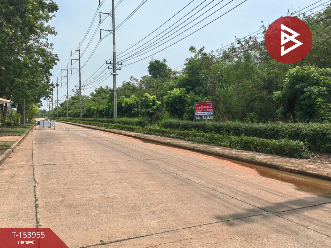 Beautiful plot of land for sale, area 6 rai 2 ngan 73 square wah, Kabinburi, Prachinburi, near Hi-Tech Industrial Estate.