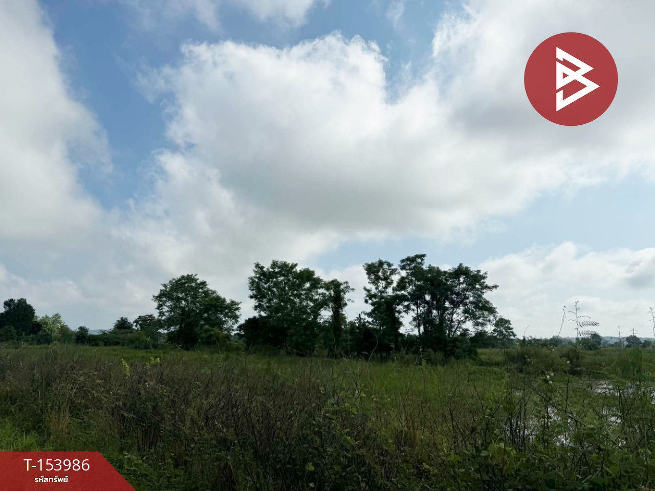 Land for sale, area 15 rai 3 ngan 74 sq m, Chiang Kham, Phayao. – รูปที่ 4