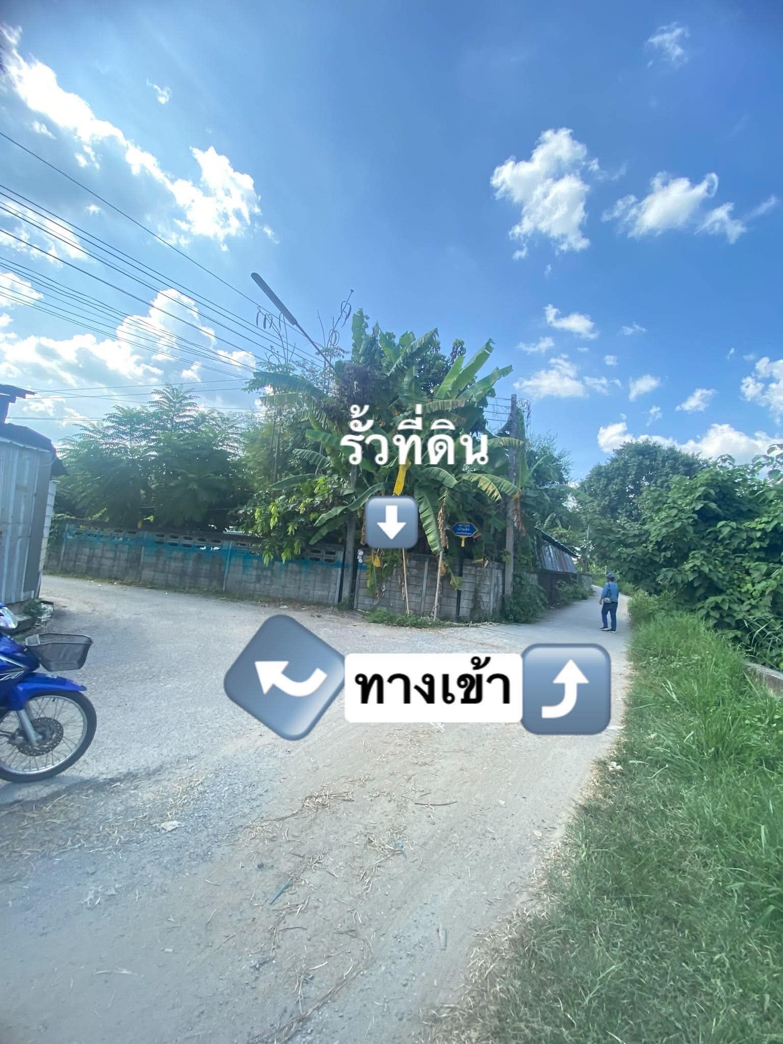 ขายที่ดินเชียงใหม่หางดง – รูปที่ 3