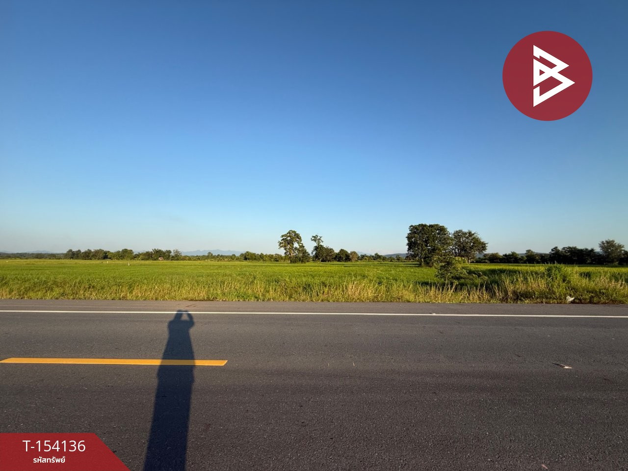 ขายที่ดิน เนื้อที่ 14 ไร่ 3 งาน 81.9 ตร.วา เชียงคำ พะเยา – รูปที่ 2