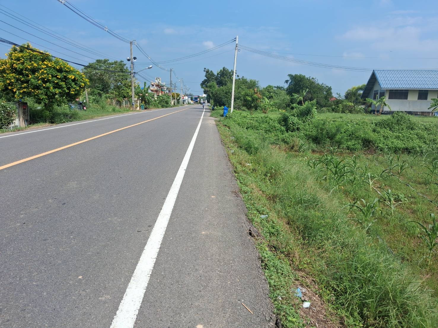 ท่ายาง จังหวัดเพชรบุรี ต่อรองได้ ใกล้โรงพยาบาลท่ายาง – รูปที่ 4