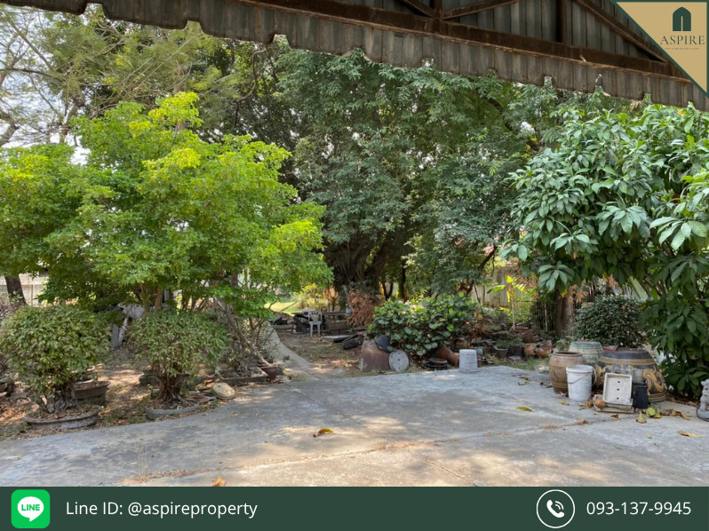 [For Sale] Land 320 Sa.wa., Soi Punnawithi 40 (Sukhumvit 101)  – รูปที่ 3