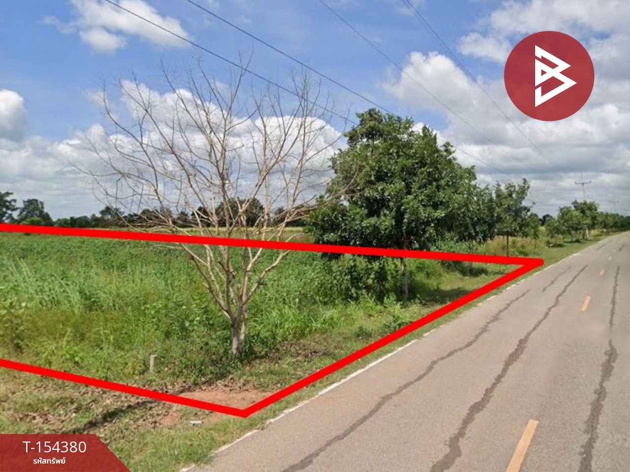 Cheap land for sale, area 4 rai 1 ngan 7 square wah, Banlang, Non Thai, Nakhon Ratchasima.