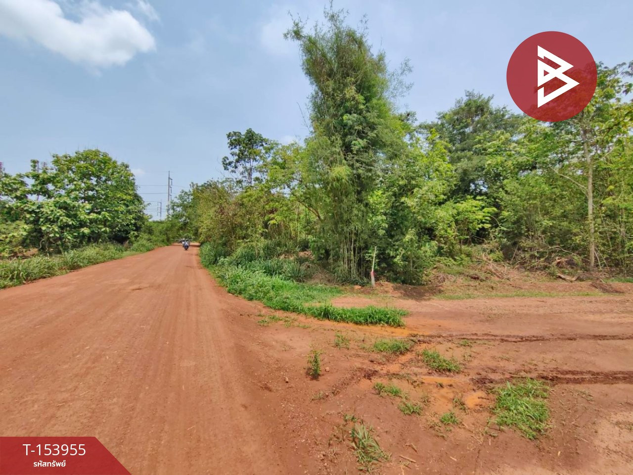 Beautiful plot of land for sale, area 6 rai 2 ngan 73 square wah, Kabinburi, Prachinburi, near Hi-Tech Industrial Estate. – รูปที่ 4