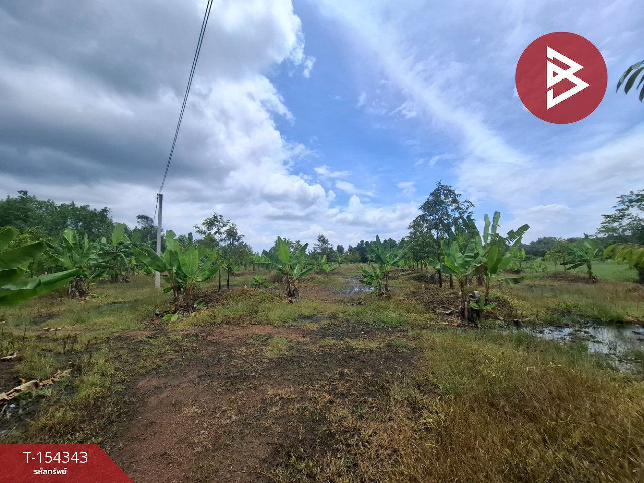 Durian orchard land for sale, area 3 rai 2 ngan, Nong Si Nga, Na Yai Am, Chanthaburi. – รูปที่ 4