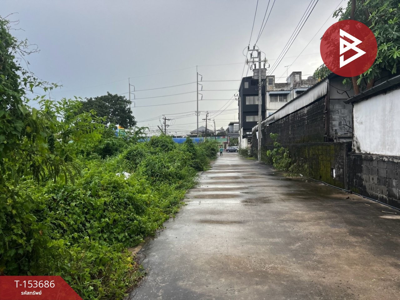 ให้เช่าที่ดิน เนื้อที่ 2 ไร่ 18.6 ตร.วา บางเขน กรุงเทพมหานคร – รูปที่ 2