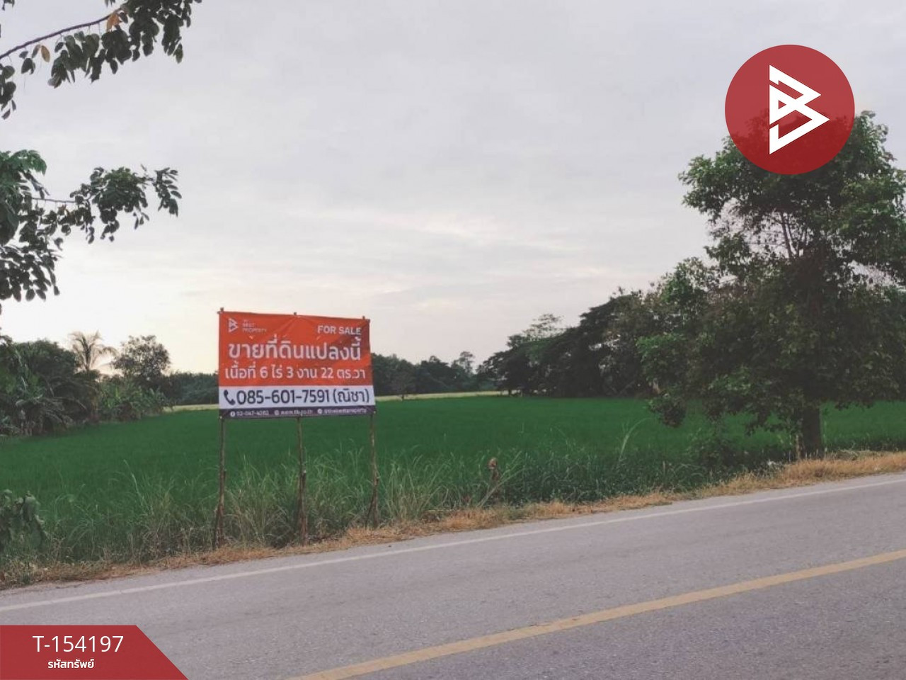 Land for sale, area 6 rai 3 ngan 22 sq m, Bueng Phra, Phitsanulok. – รูปที่ 4