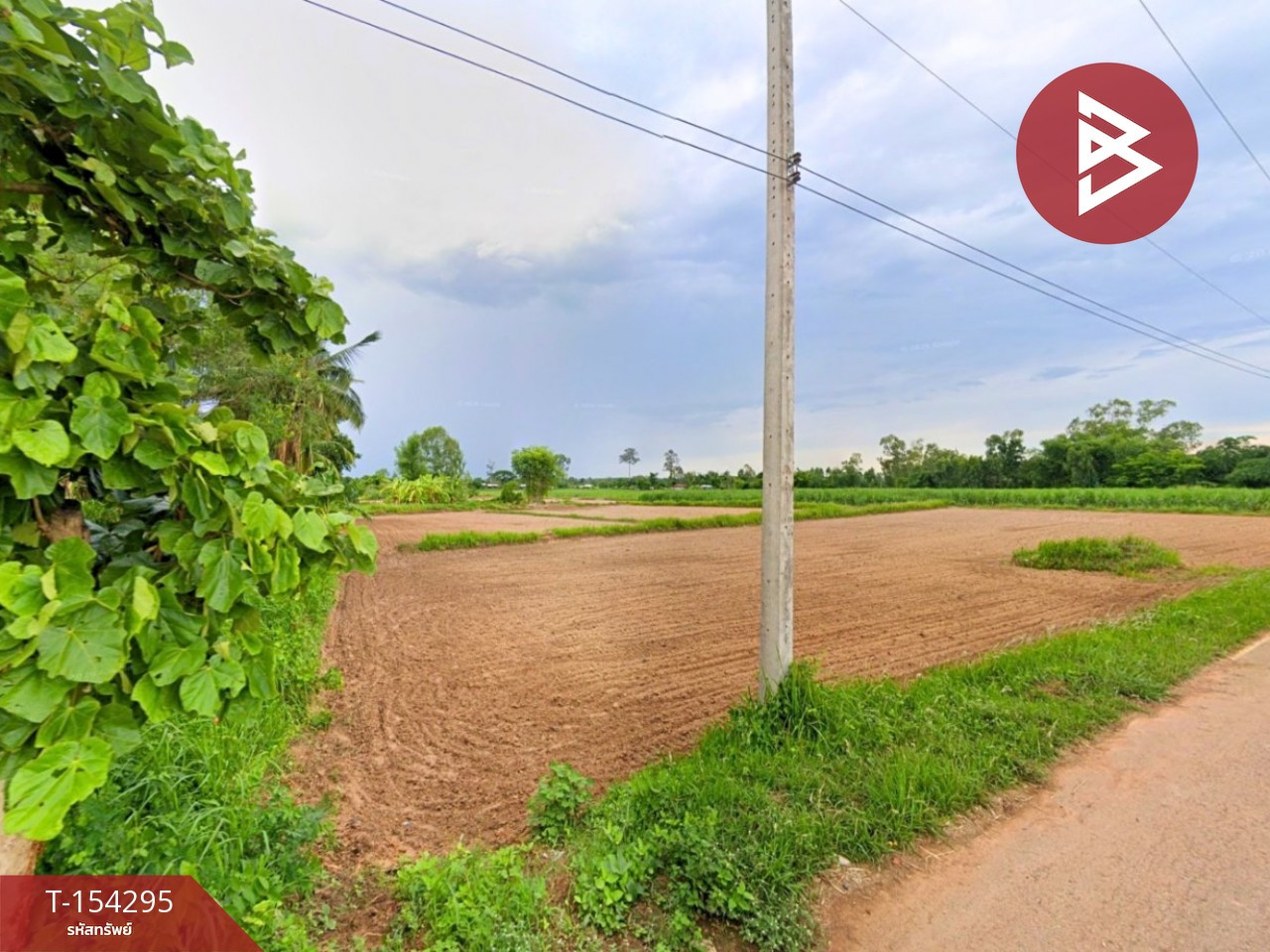 ขายที่ดิน เนื้อที่ 10 ไร่ 65 ตร.วา หนองแสง อุดรธานี – รูปที่ 4