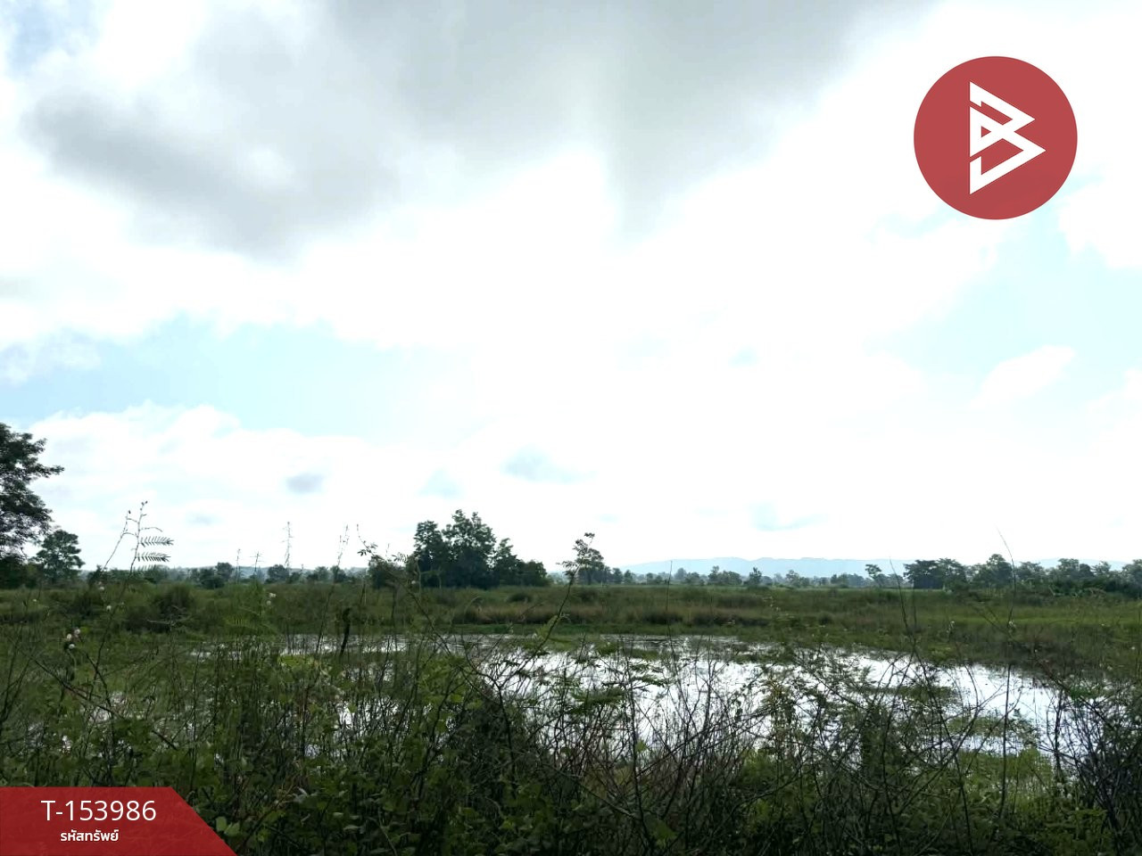 Land for sale, area 15 rai 3 ngan 74 sq m, Chiang Kham, Phayao. – รูปที่ 2
