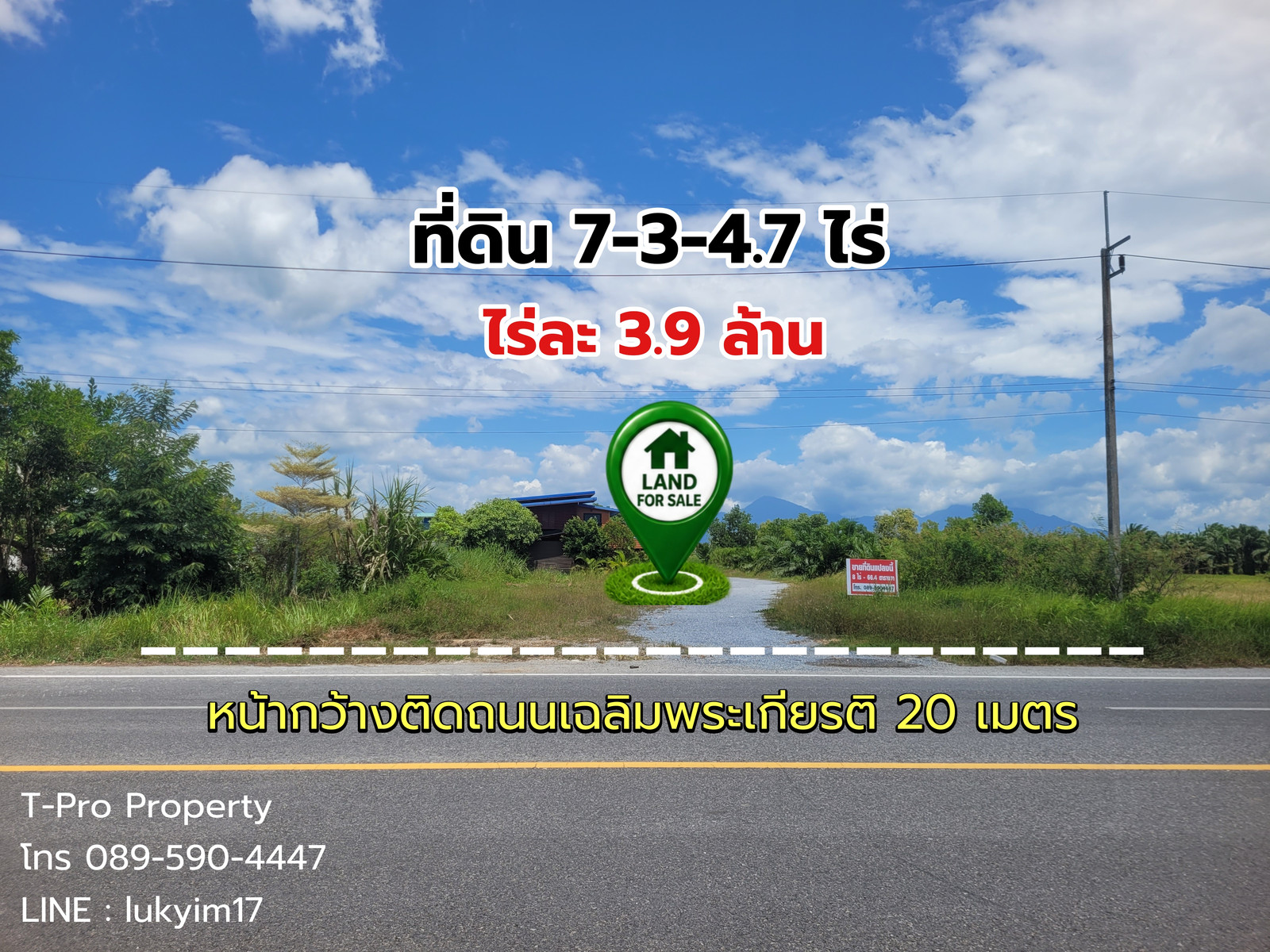 ที่ดินถมแล้ว ติดถนนเฉลิมพระเกียรติ ( ตำบลปากพูน)​ขายพร้อมบ้าน ห้องเช่า สวนมะพร้าวและสวนปาล์ม 