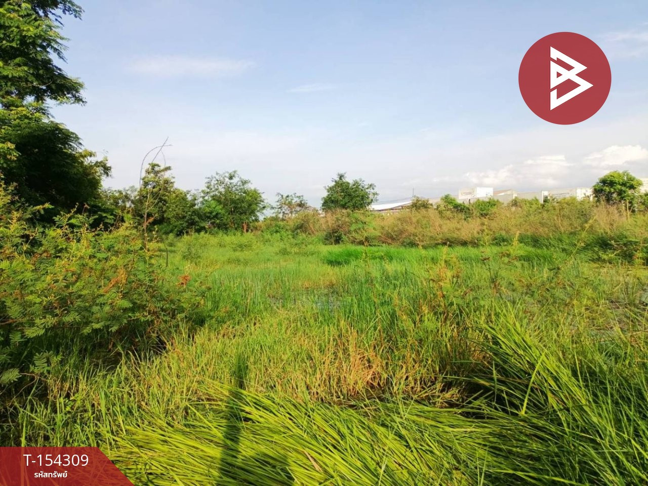 ขายที่ดิน เนื้อที่ 1 งาน ลำลูกกา ปทุมธานี – รูปที่ 3
