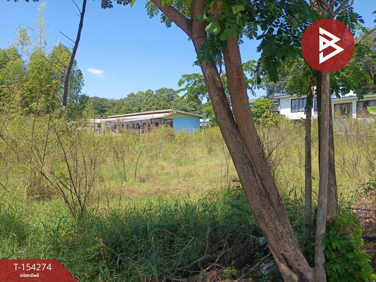 Land for sale, area 3 ngan 45.3 square meters, in the heart of Bueng Kan city. – รูปที่ 2