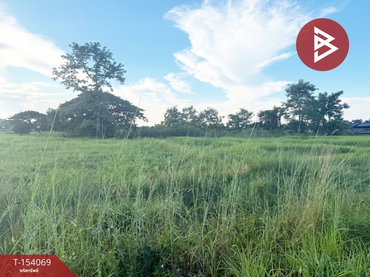 Land for sale, area 1 rai 3 ngan 59 sq m, Chiang Kham, Phayao. – รูปที่ 3