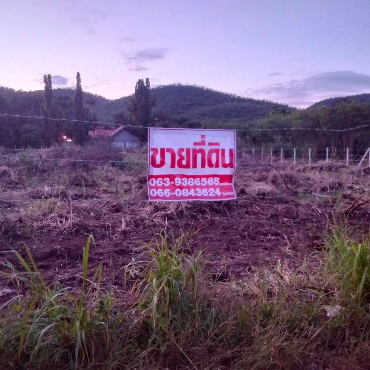 🏡 ขายที่ดินปากช่อง 2 ไร่ เพียง 8 ล้านบาท! 📍 ทำเลปากช่อง จ.นครราชสีมา | 2 โฉนดติดกัน