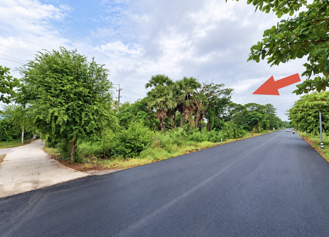 ขาย ที่ดิน ติดถนนเมนสายวัดลาวทองวัดยาง ผังเมืองสีเหลือง ต.สนามชัย อ.เมืองสุพรรณบุรี ใกล้วิทยาลัยนาฏศิลปสุพรรณบุรี แม่น้ำท่าจีน 1 งาน 90 ตรว – รูปที่ 2