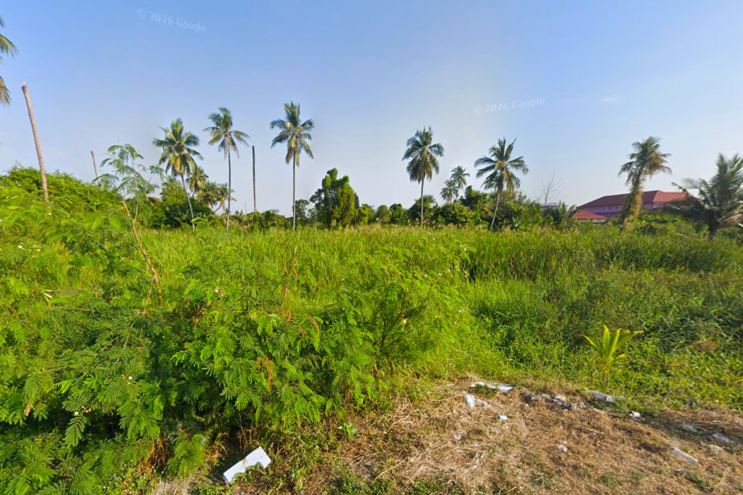 ขาย ที่ดิน ซ.วัดเสาธงหิน 8 ไร่กว่า ใกล้ถ.บางใหญ่-บางคูลัด เพียง 500 เมตร CC – รูปที่ 3