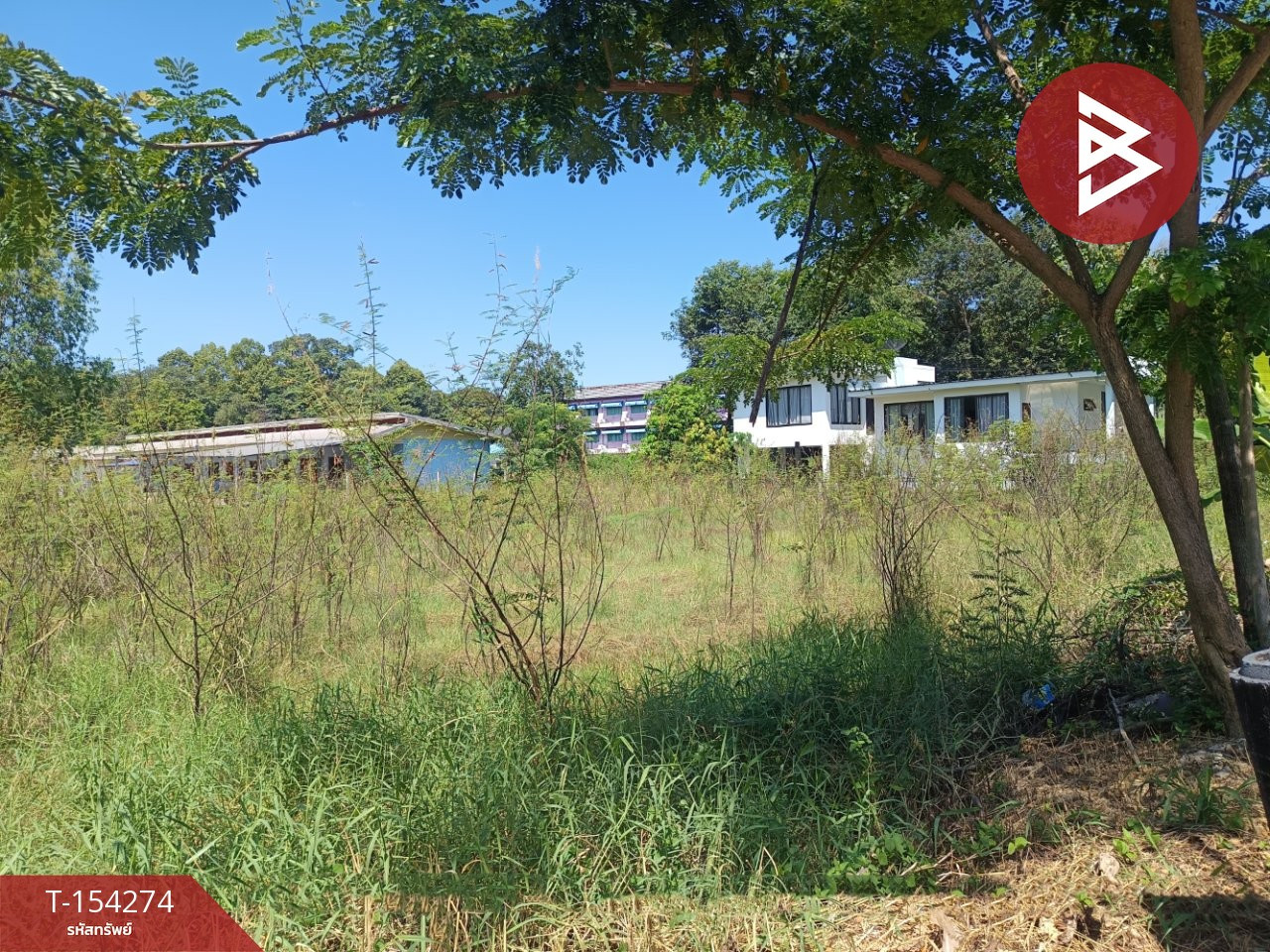 Land for sale, area 3 ngan 45.3 square meters, in the heart of Bueng Kan city. – รูปที่ 3