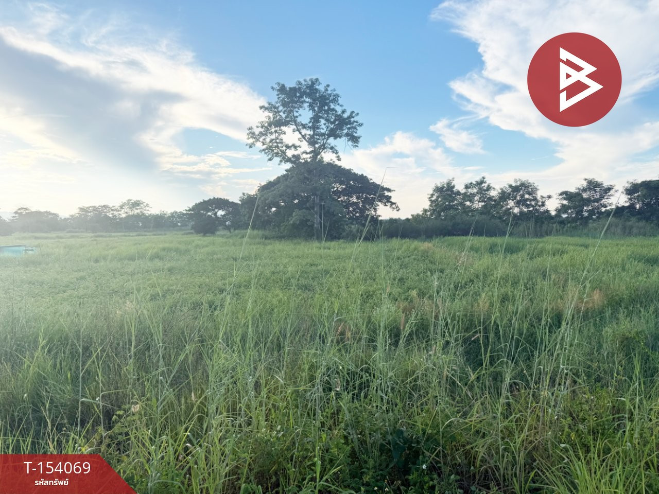 Land for sale, area 1 rai 3 ngan 59 sq m, Chiang Kham, Phayao. – รูปที่ 2