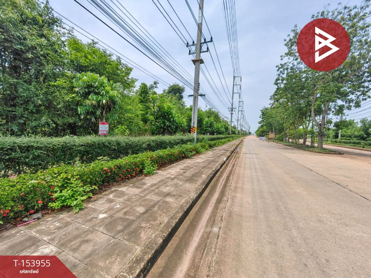 Beautiful plot of land for sale, area 6 rai 2 ngan 73 square wah, Kabinburi, Prachinburi, near Hi-Tech Industrial Estate. – รูปที่ 3
