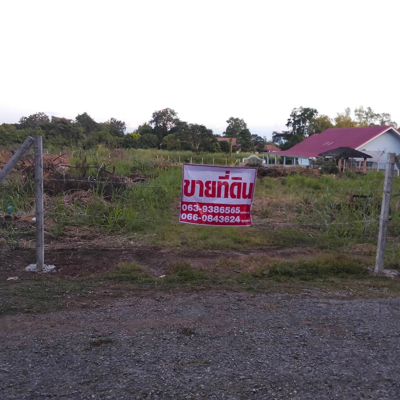 🏡 ขายที่ดินปากช่อง 2 ไร่ เพียง 8 ล้านบาท! 📍 ทำเลปากช่อง จ.นครราชสีมา | 2 โฉนดติดกัน – รูปที่ 2