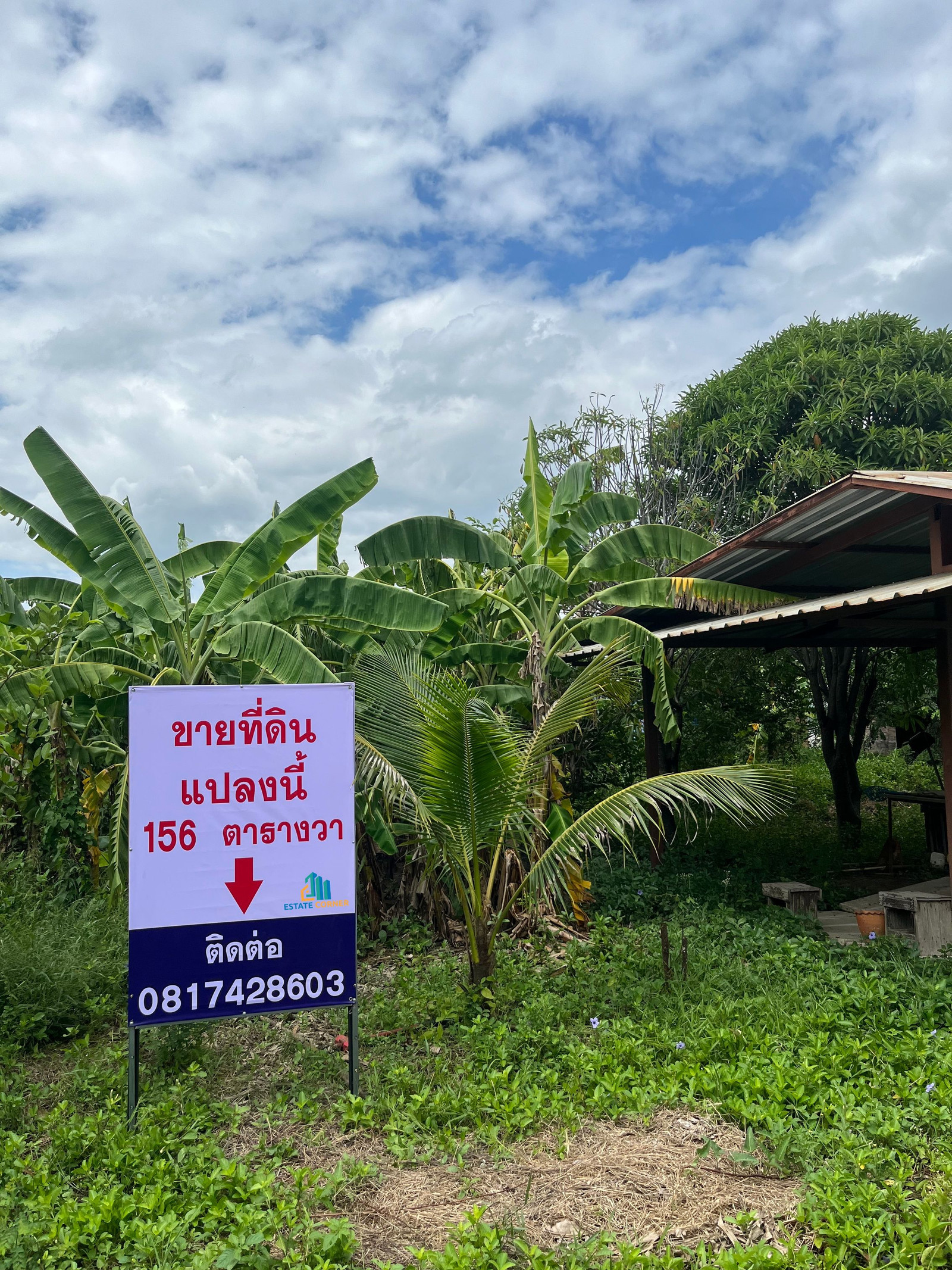 95553 - Vacant land for sale, 156 sq m, Khlong Rachacha Phimon, Bang Bua Thong District, Nonthaburi Province.