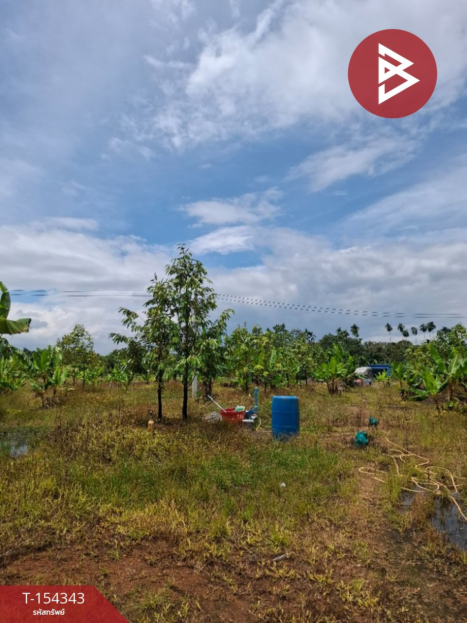 Durian orchard land for sale, area 3 rai 2 ngan, Nong Si Nga, Na Yai Am, Chanthaburi. – รูปที่ 3