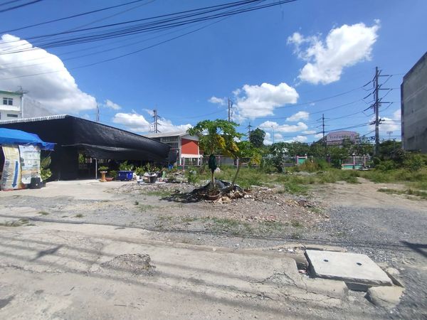 Land for sale near Pathum Wilai intersection. Mueang Pathum Thani District 209 sq m.
