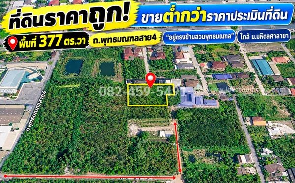 ขายที่ดินพุทธมณฑลสาย4 ซอยเทศบาลตำบลศาลายา 29 ย่านตลิ่งชัน พื้นที่ 377 ตรว. ขายต่ำกว่าราคาประเมินที่ดิน เพียง 3.6 ล้าน ถูกที่สุดในย่านนี้แล้ว ใกล้มหาวิทยาลัยมหิดลศาลายา ที่ดินอยู่ตรงข้ามสวนพุทธมณฑล