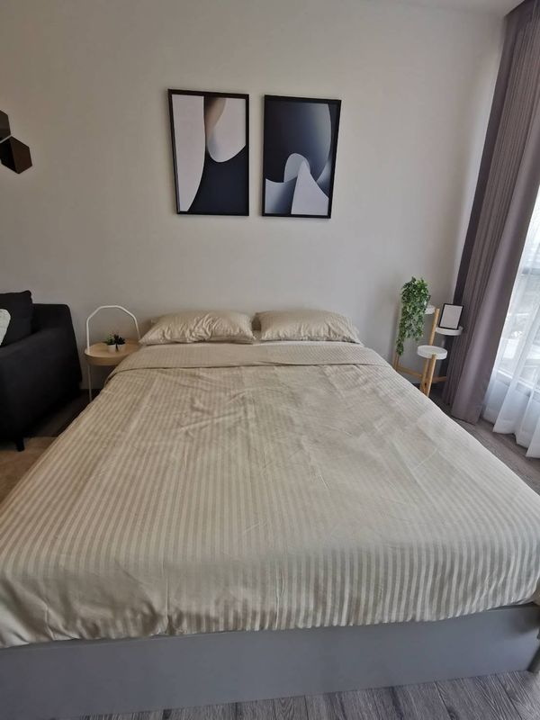 (Code R304) For rent knights bridge collage sukhumvit 107: Knights Bridge Collage Sukhumvit 107