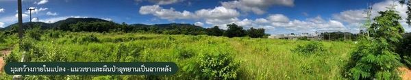 Land 6 Rai in Khao Yai near Kirimaya Golf Club For Developing Luxury Pool Villas or Boutique Hotel