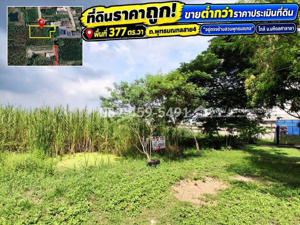 Land for sale Phutthamonthon Sai 4 Soi Thetsaban Salaya Subdistrict 29, Taling Chan area, area 377 sq m. Sold below the appraised value of the land, only 3.6 million, the cheapest in this area. Near Mahidol University, Salaya The land is opposite Phuttham