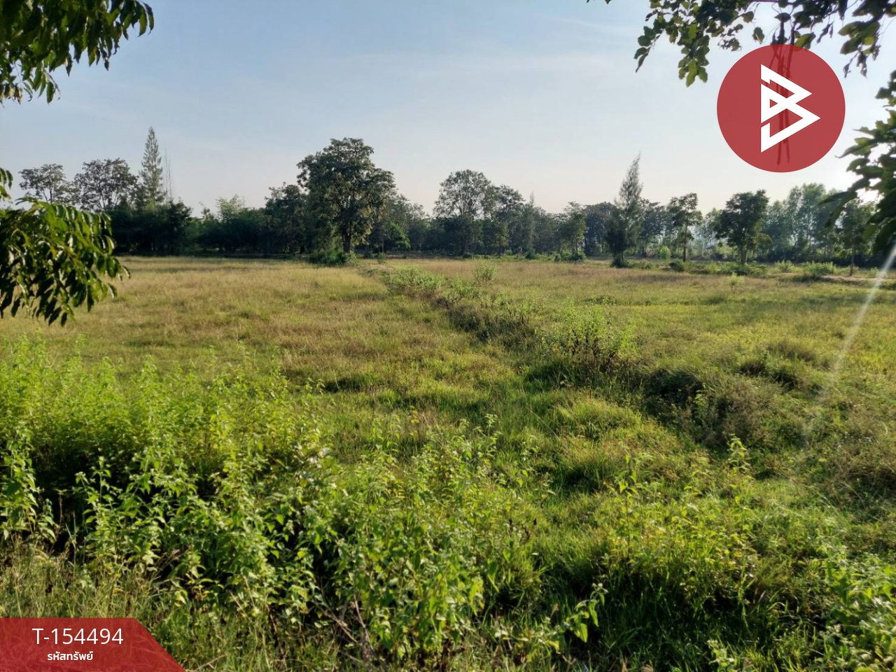 Empty land for sale, 16 rai 2 ngan 39.2 sq m, Ang Hin Subdistrict, Pak Tho District, Ratchaburi Province, next to a water canal. – รูปที่ 2