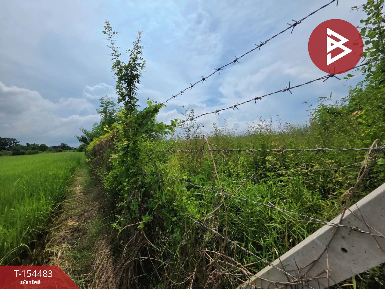 Land for sale, already filled in, area 1 rai 1 ngan 19.6 square wah, Don Tako, Ratchaburi. – รูปที่ 4