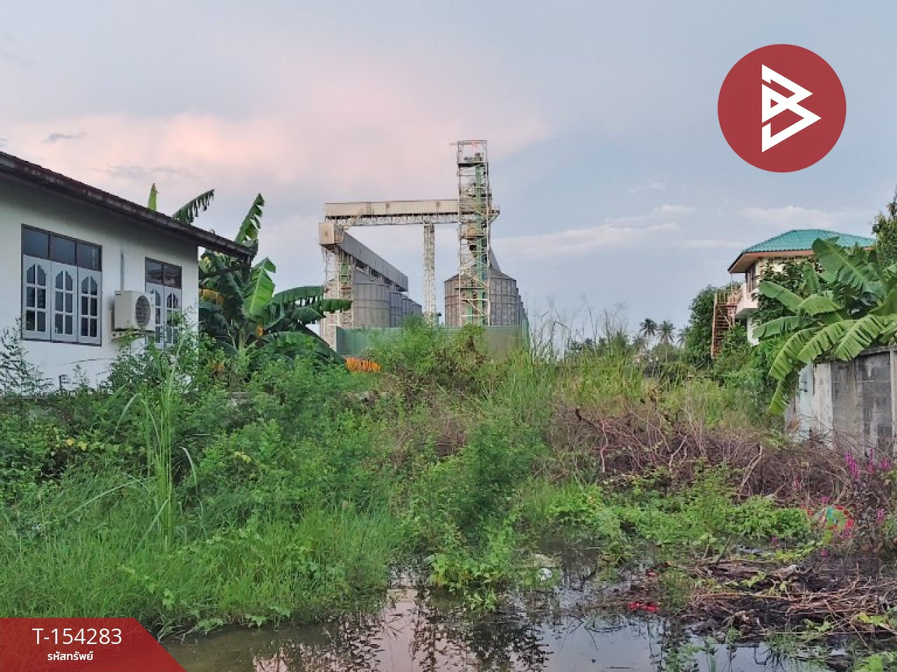 ขายที่ดิน เนื้อที่ 1 งาน 61.4 ตร.วา นครชัยศรี นครปฐม  – รูปที่ 3